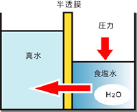 逆浸透現象